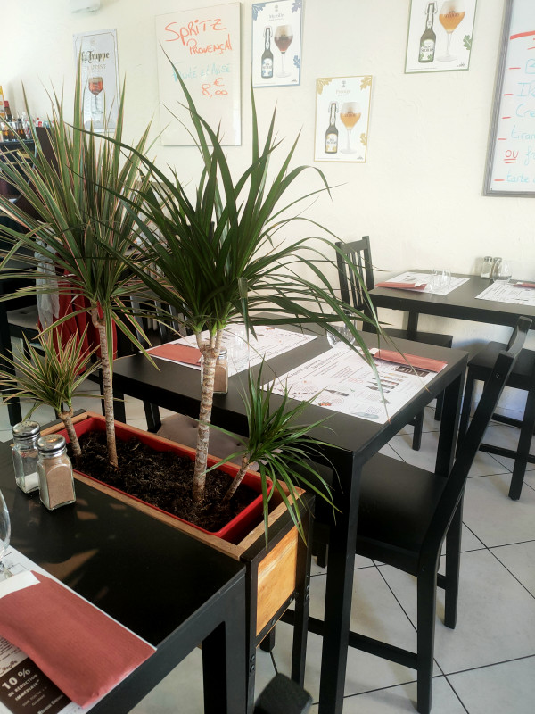 Le chemin neuf Le chemin neuf