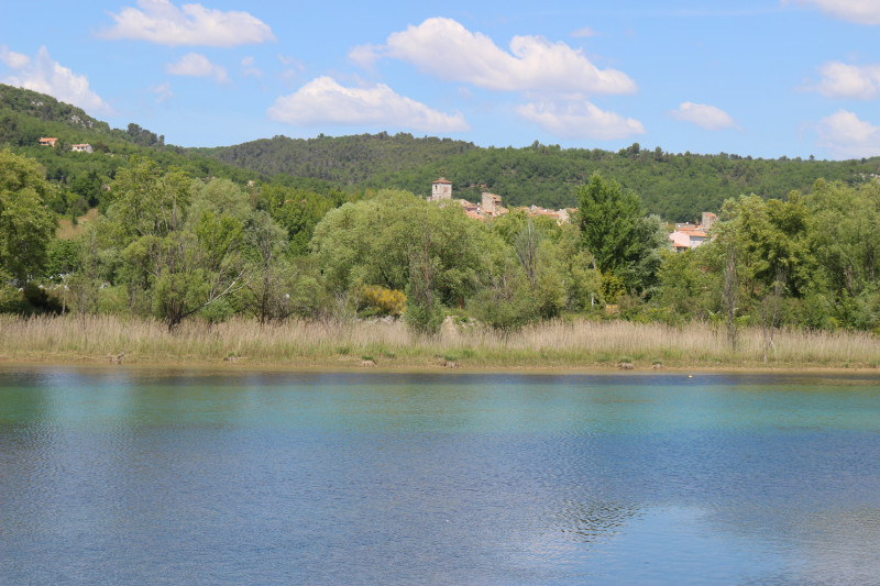 quinson - © dr quinson