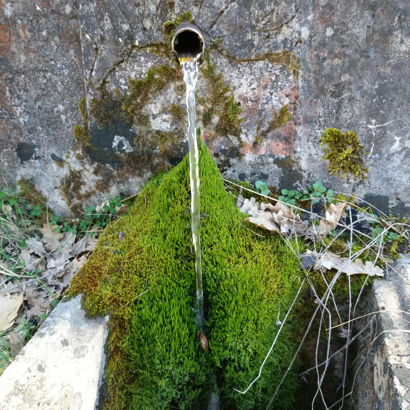 Fontaine Moisson Fontaine Moisson