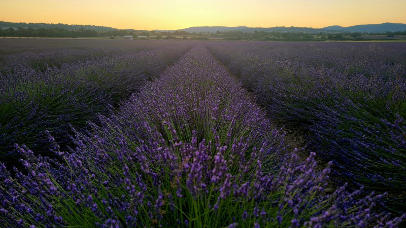 Aire de camping car chez Isabelle et Sébastien_Manosque