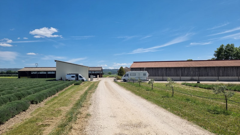 Les lavandes d'Isabelle et Sébastien