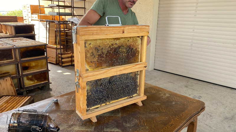 visite de la miellerie visite de la miellerie