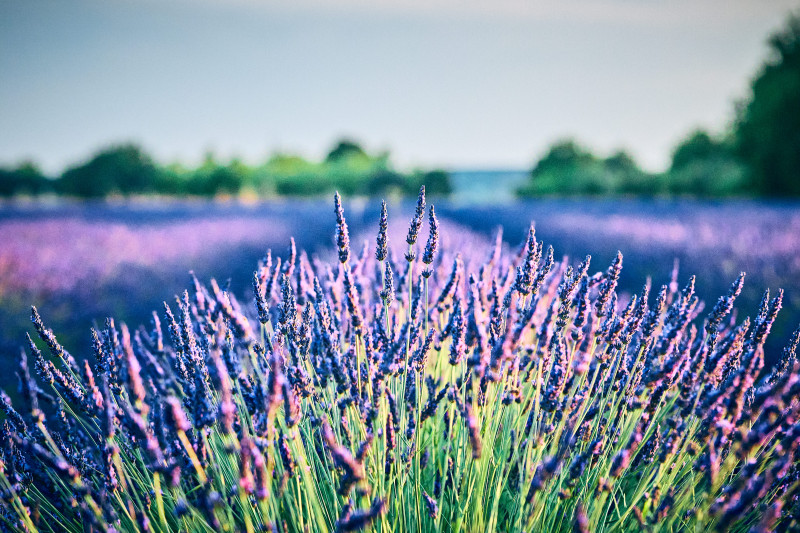 f7dfc852b0fecc1368da.jpg f7dfc852b0fecc1368da.jpg