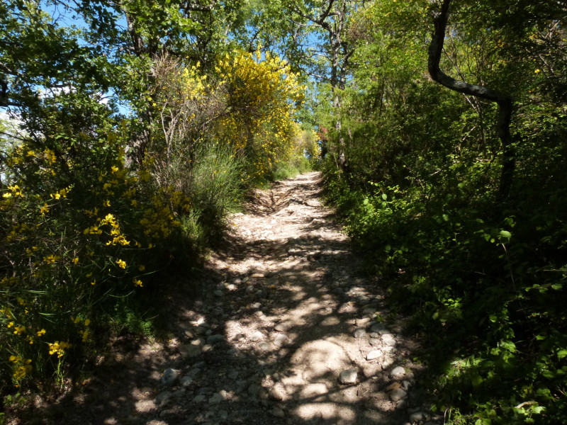 La calade menant à Notre Dame de Bellevue