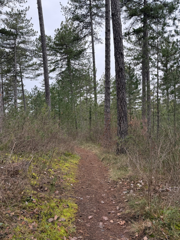 Itinéraire pédestre Itinéraire pédestre