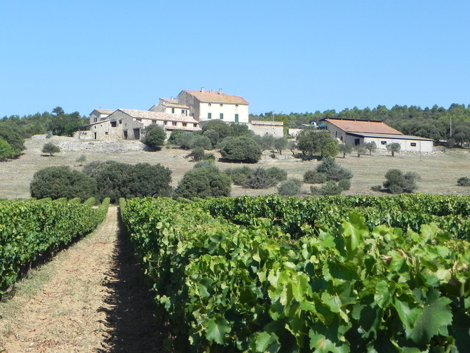Château Ste Marguerite