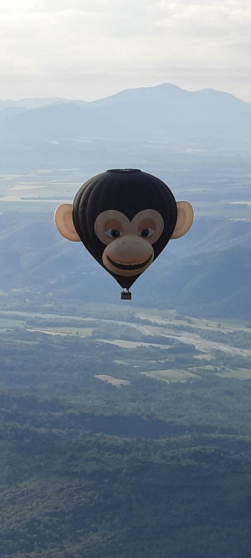 Montgolfière singe