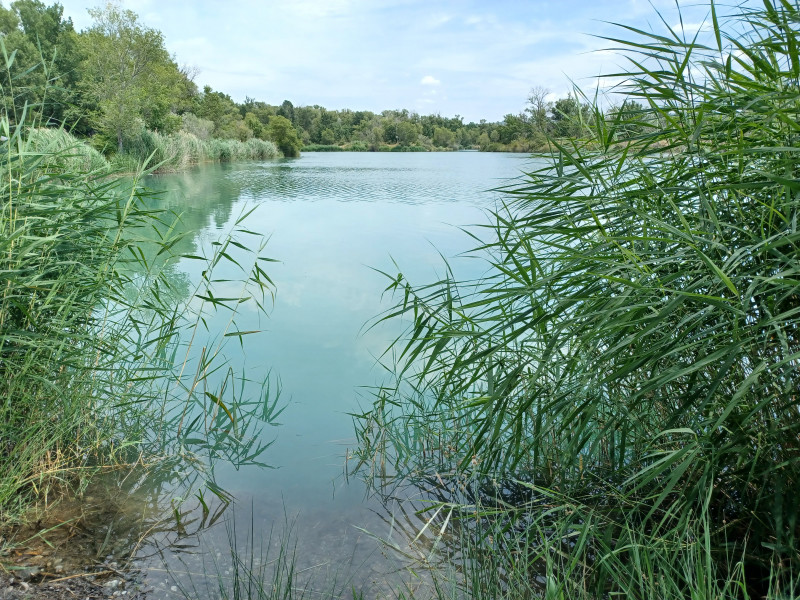Lac de la forestière