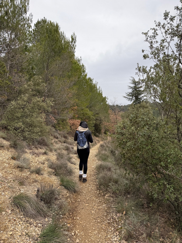 Itinéraire pédestre 