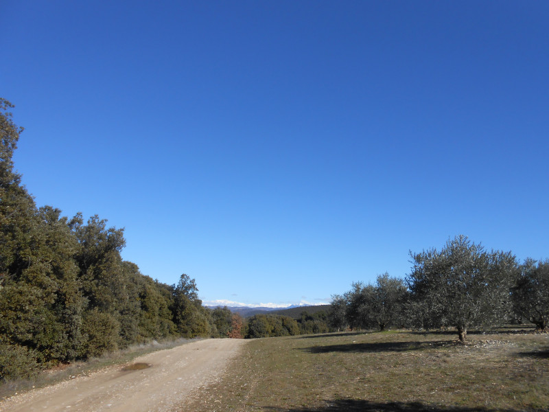 Vue - © Bureau d'information Touristique Oraison Vue