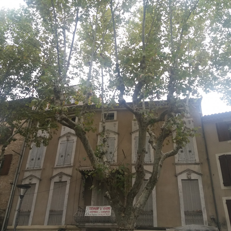 Façade de la maison de Damase Arbaud