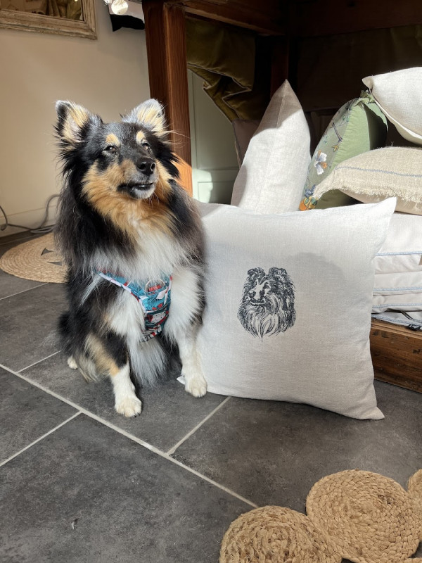 Broderie animalière Broderie animalière