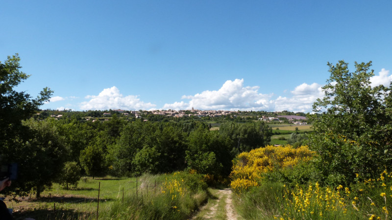 Vue sur Puimoisson du chemin Notre Dame de Bellevue