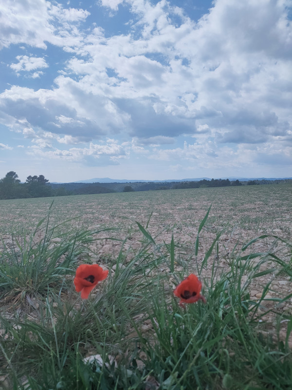 Itinéraire pédestre Itinéraire pédestre