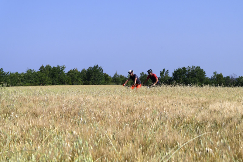 Site VTT FFC-Pays d'Oraison-Coeur de Durance-Circuit 1-Vert-Oraison_Oraison