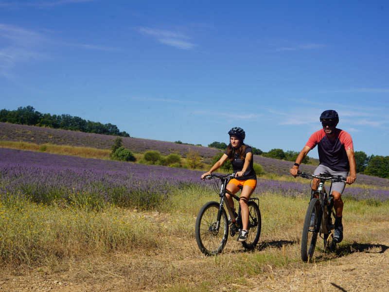 Site VTT FFC-Pays d'Oraison-Coeur de Durance-Circuit 2-Bleu-Oraison_Oraison