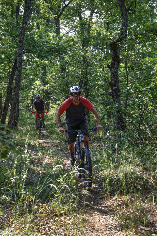 Site VTT FFC-Pays d'Oraison-Coeur de Durance-Circuit 5-Rouge-Oraison_Oraison