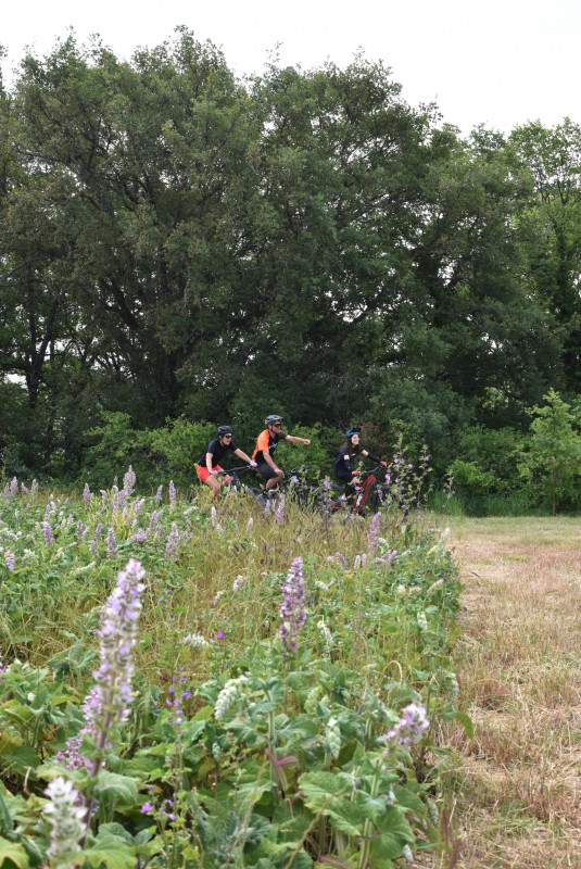 Site VTT FFC-Pays d'Oraison-Coeur de Durance-Circuit 5-Rouge-Oraison_Oraison