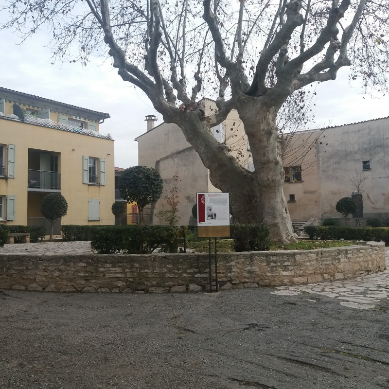 Porche - © OTC DLVA Porche