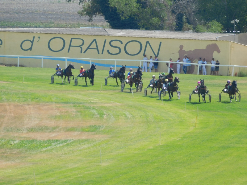 Trot attelé Trot attelé