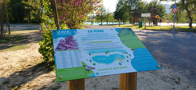 Panneau sur la flore - © OTC DLVA Panneau sur la flore