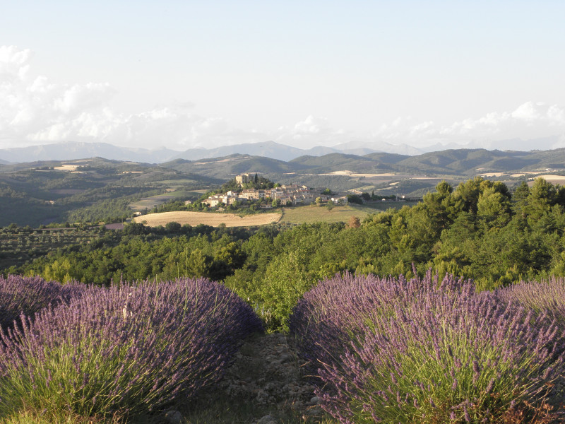 Lavande et Entrevennes