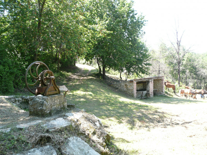 lavoir