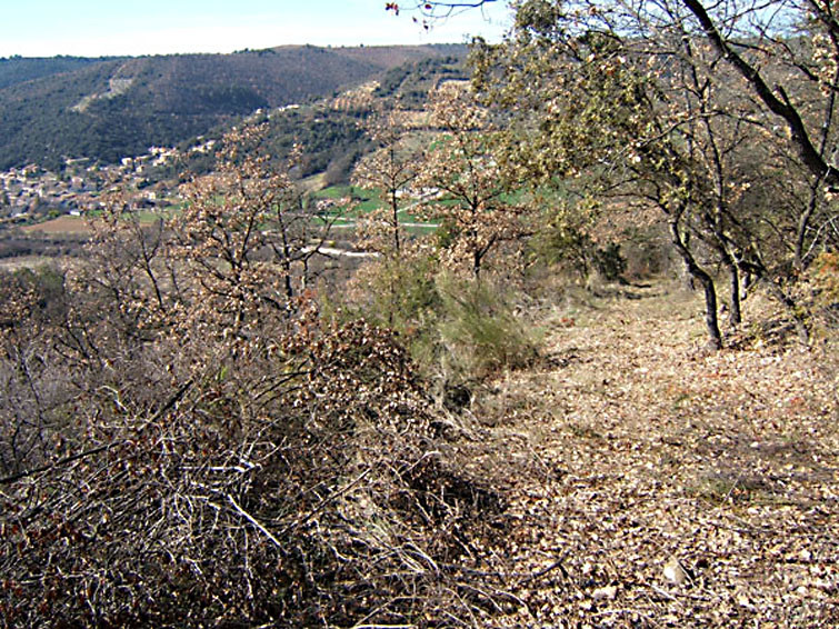 Chemin - © Castellum Chemin