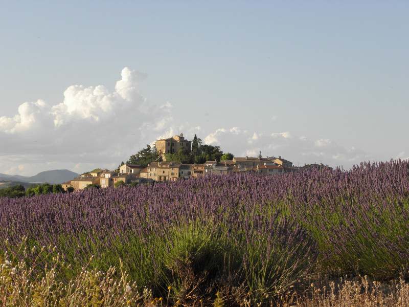 Vue sur Entrevennes - © Bureau d'Information Touristique Oraison Vue sur Entrevennes