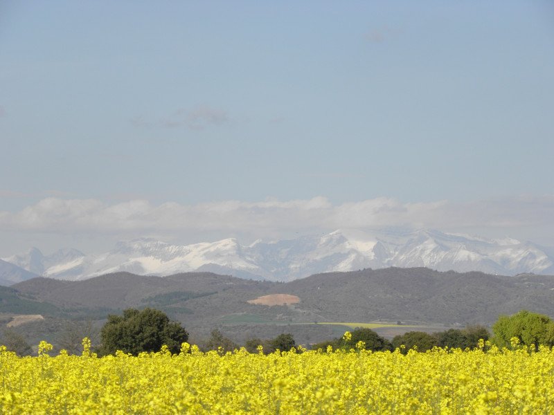 Le Castellet