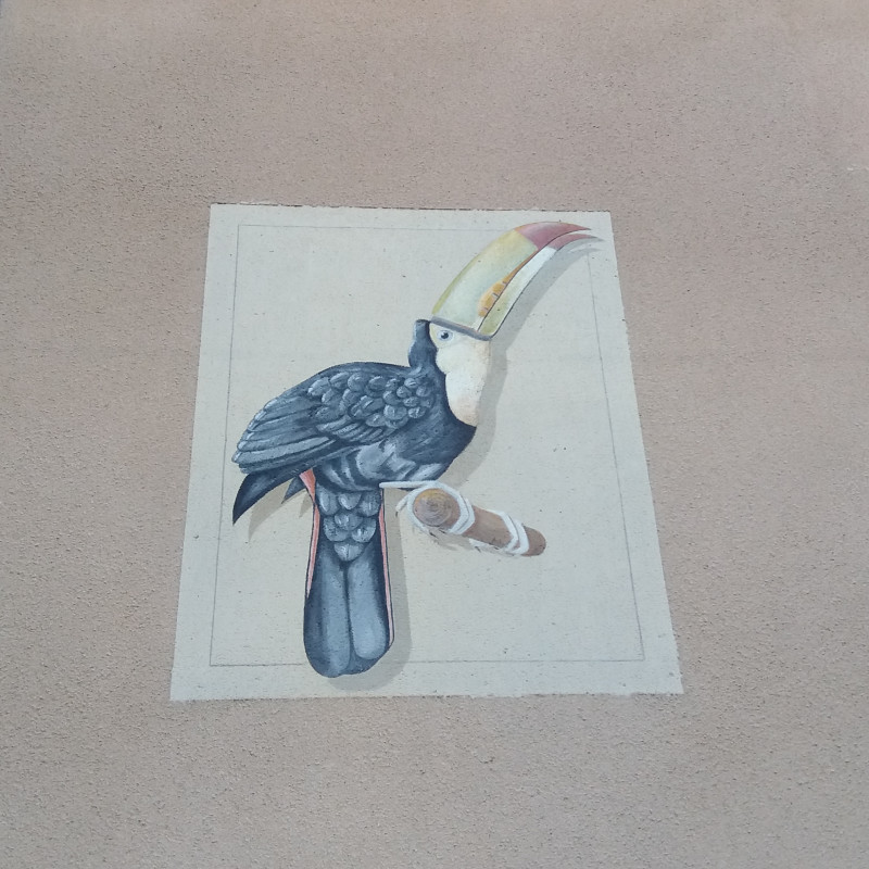 Le toucan