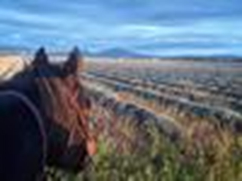 Balade à cheval Riez