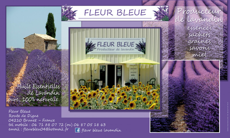 Fleur Bleue