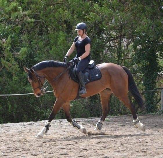 Centre équestre Mini-Ranch