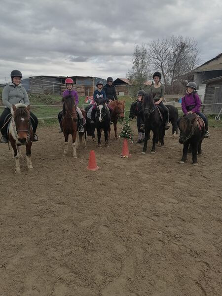 Chevaux