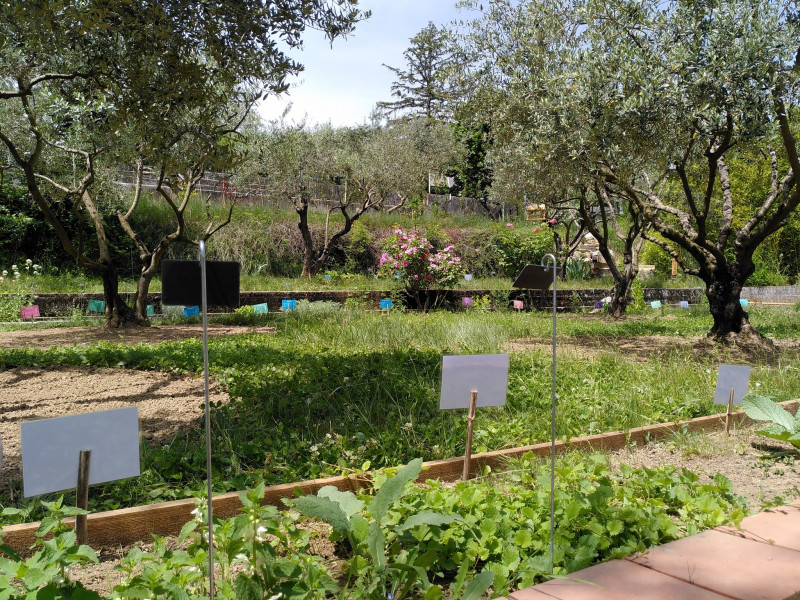 jardin botanique
