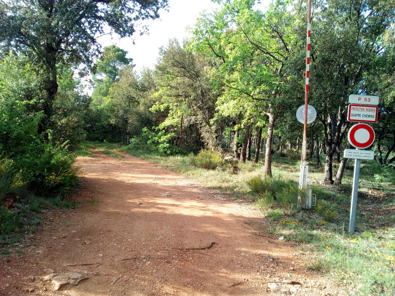 Piste DFCI « P53 quatre chemins »