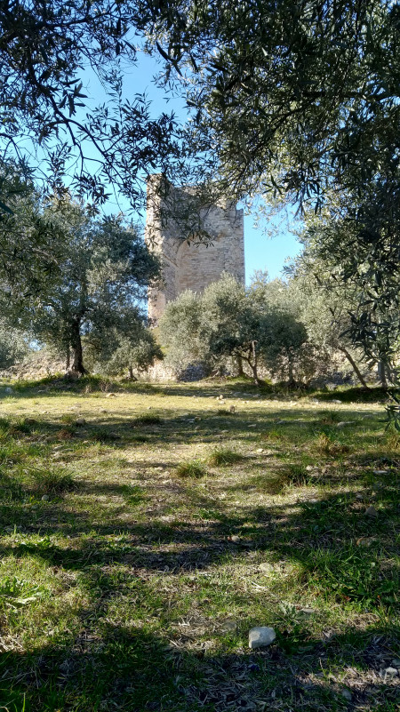 Tour du Mont d'Or