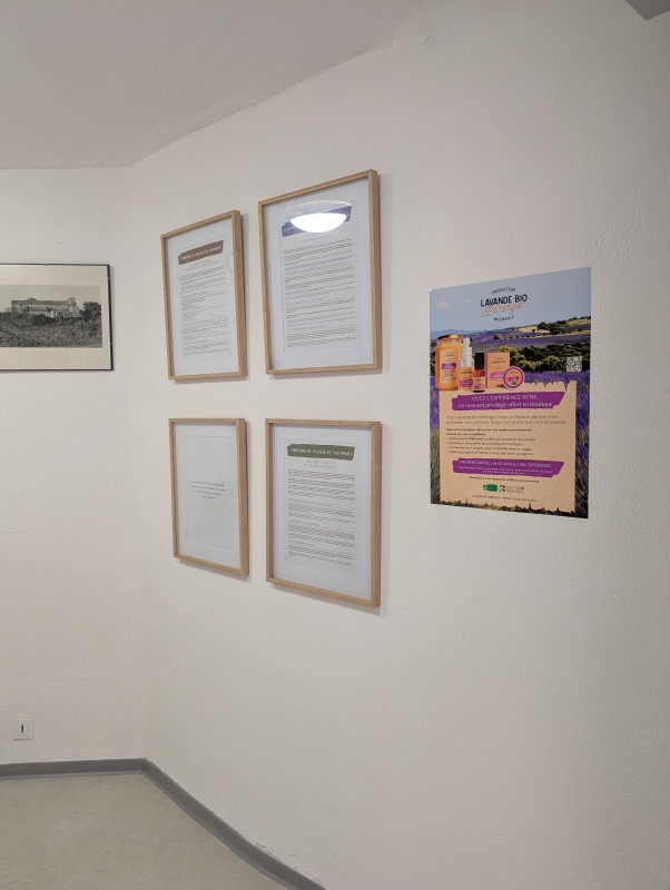 Comprende l'histoire de la lavande - © Samuel Bérenger Comprende l'histoire de la lavande
