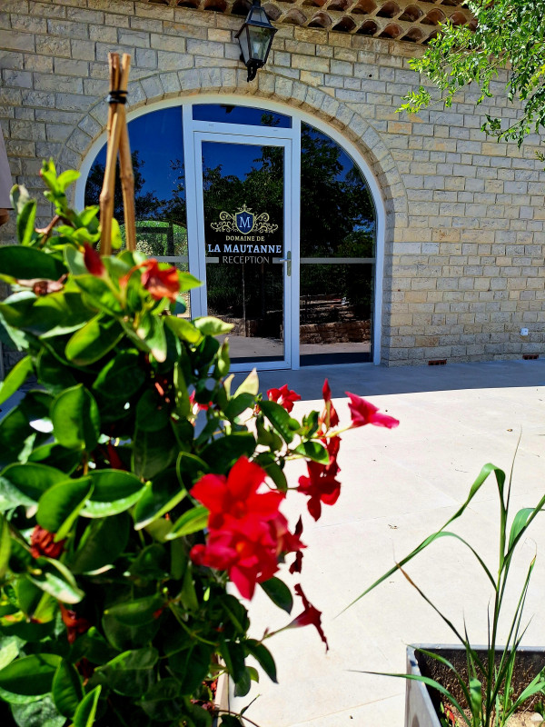 Entrée Entrée