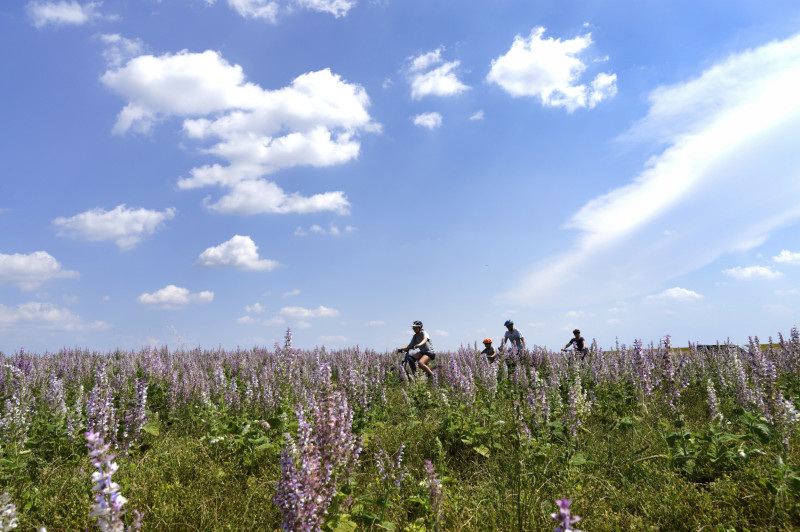 Circuit Provence Verdon VTT 37 - © F-X Emery Circuit Provence Verdon VTT 37