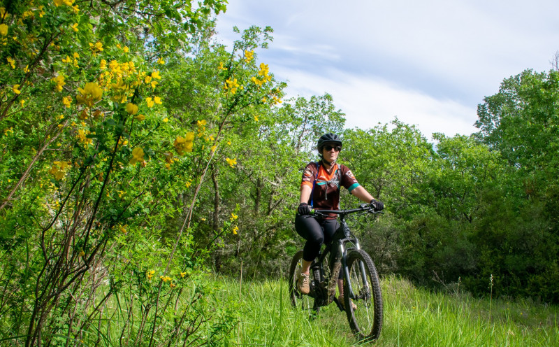 Circuit VTT 14 Haut-Var Circuit VTT 14 Haut-Var