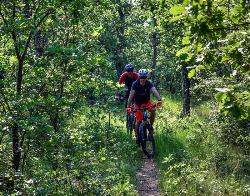 Provence Verdon VTT circuit 9 - © François Xavier Emery Provence Verdon VTT circuit 9