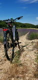 VELOS ELECTRIQUES