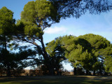 pb270075.jpg