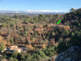 L'emplacement dans la forêt