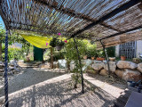 jardinet et terrasse ombragée