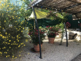 jardinet ombragé 100m²