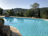 Pisicne
