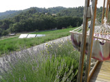 Ecogite Verduletto